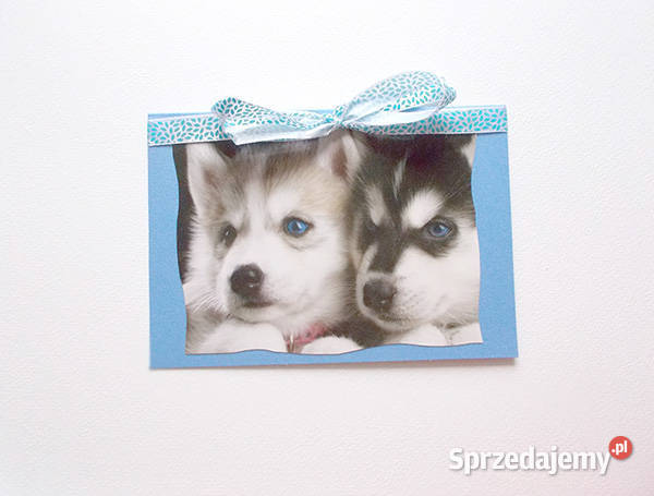 husky kartka psy kartka zwierzęta kartki pies Pozostałe sprzedam