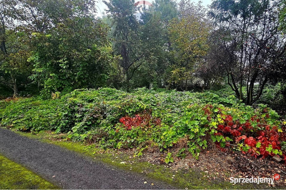 Działka budowlana centrum Dąbrowy Górniczej Dąbrowa Górnicza