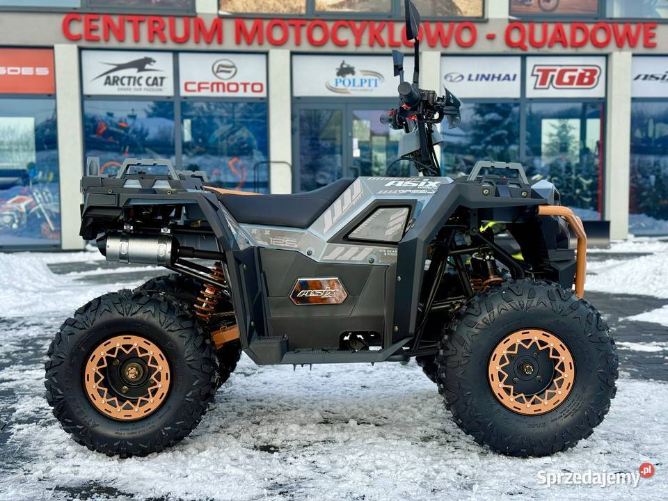QUAD ASIX GRIZZLY 125CC 8 11 SZARO BRĄZOWY Głogoczów