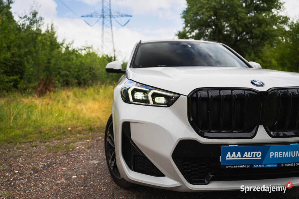 BMW X1 sDrive18i Katowice