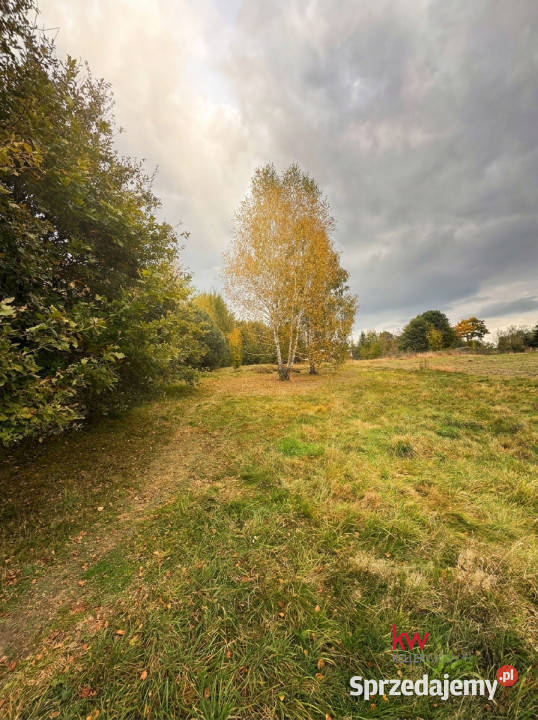Ogłoszenie grunt Orzesze Wyzwolenia 3572m2 190zł/m2 śląskie sprzedam