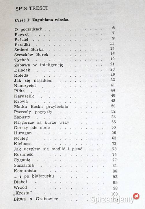 Ściernisko Bazyli Pietruczuk