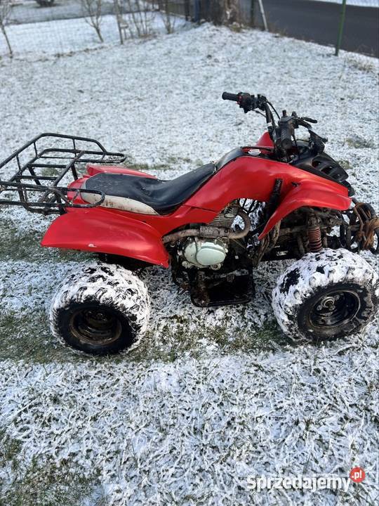 Bashan 259 Ozorowice