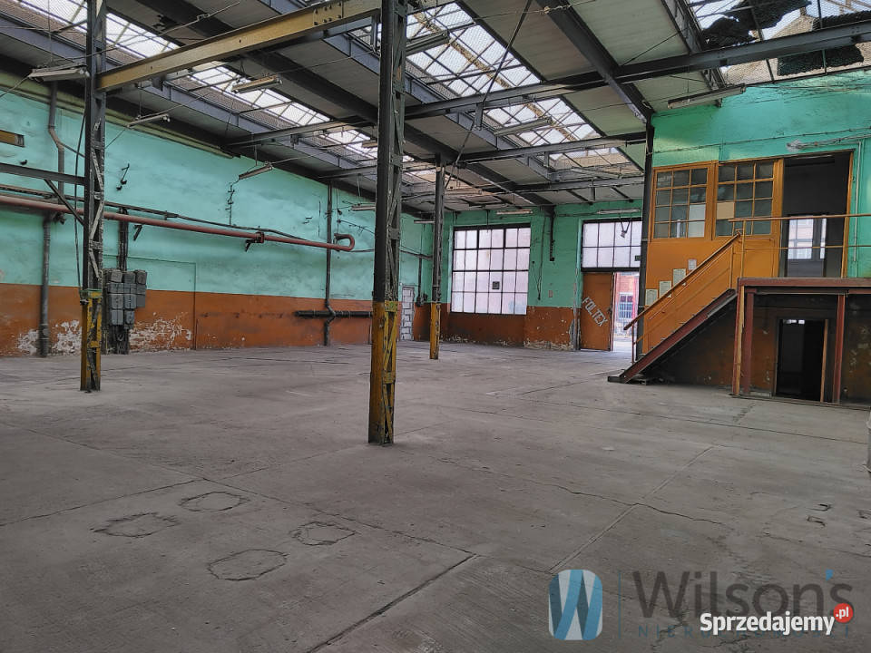 Ogłoszenie lokal Wrocław 825m2 Ilość pomieszczeń 2