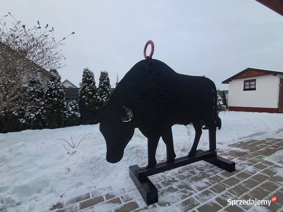 Byk przeszkody horse agility wielkopolskie Biskupice
