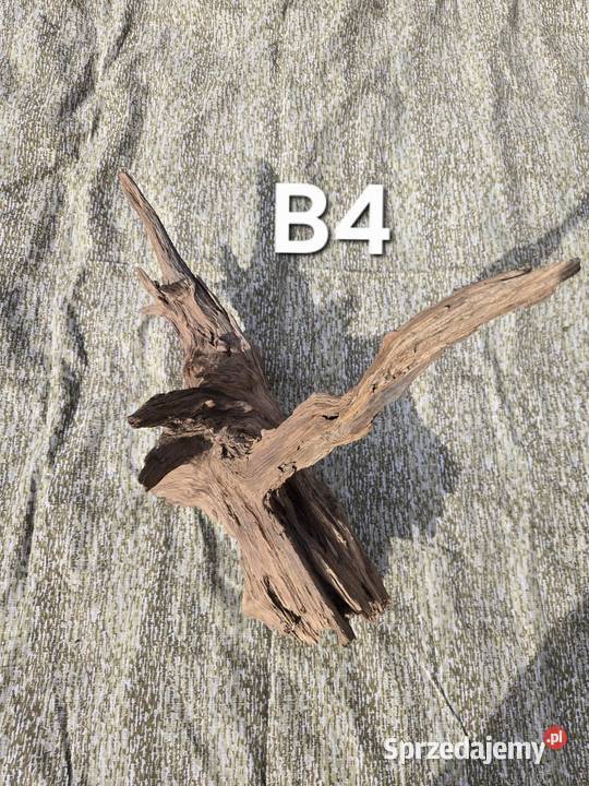 Korzeń ozdobny do domu ogrodu akwarium Trzciel