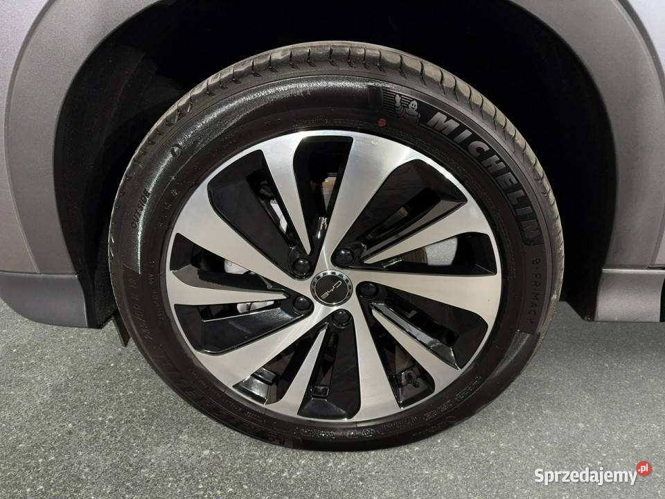BYD Seal U VAT 23 DMi Design 15 PHEV 324 automat immobilizer Seal U Myślenice