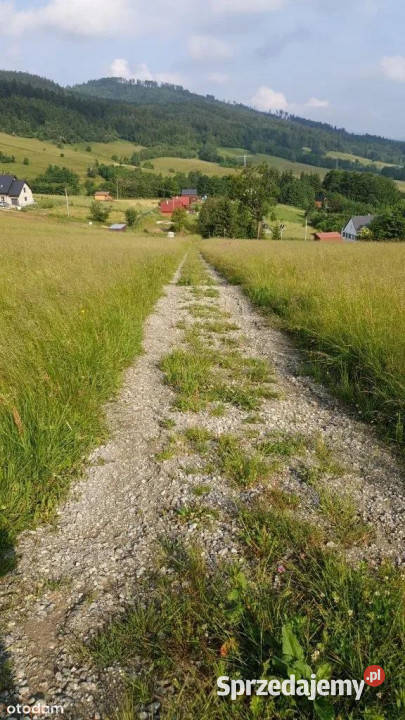 sprzedaży gruntu 3566m2 Walim szambo dolnośląskie