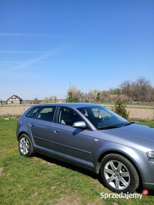 Audi a3 2005 105KM A3 Sosnowa