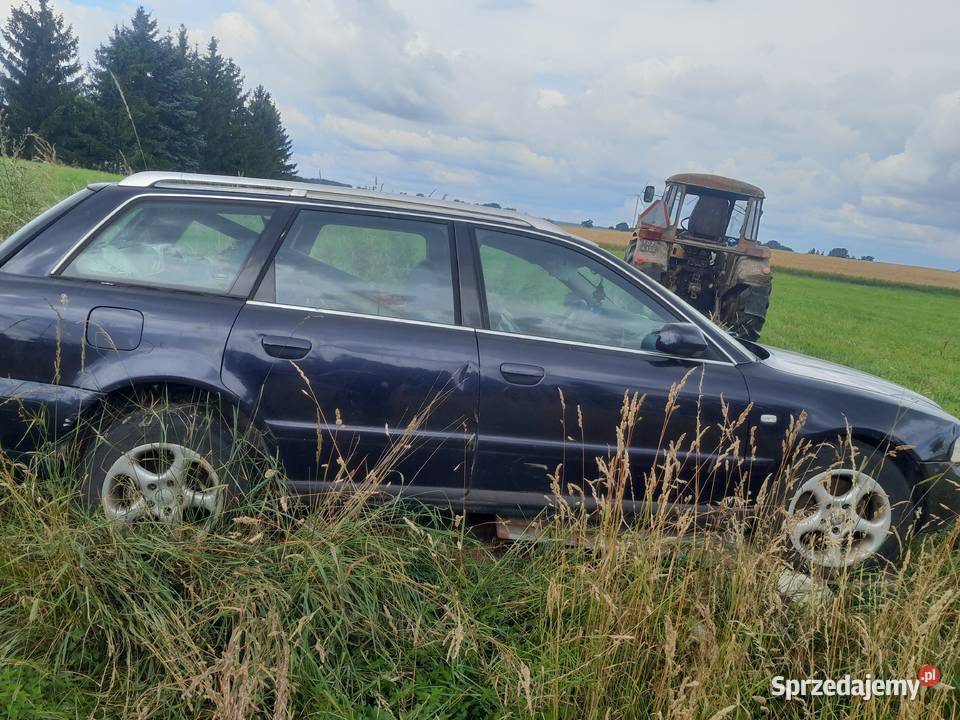 audi a4 b5 Dębowa Łąka