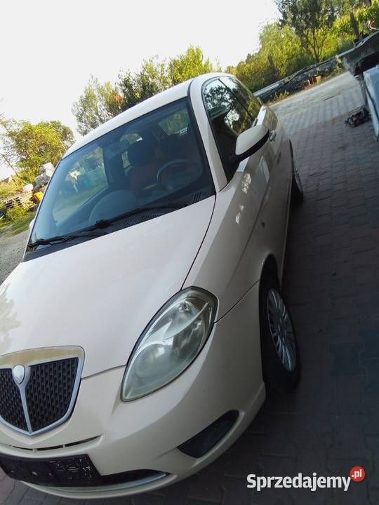 Lancia Ypsilon 2008 12 142 Sieniawka