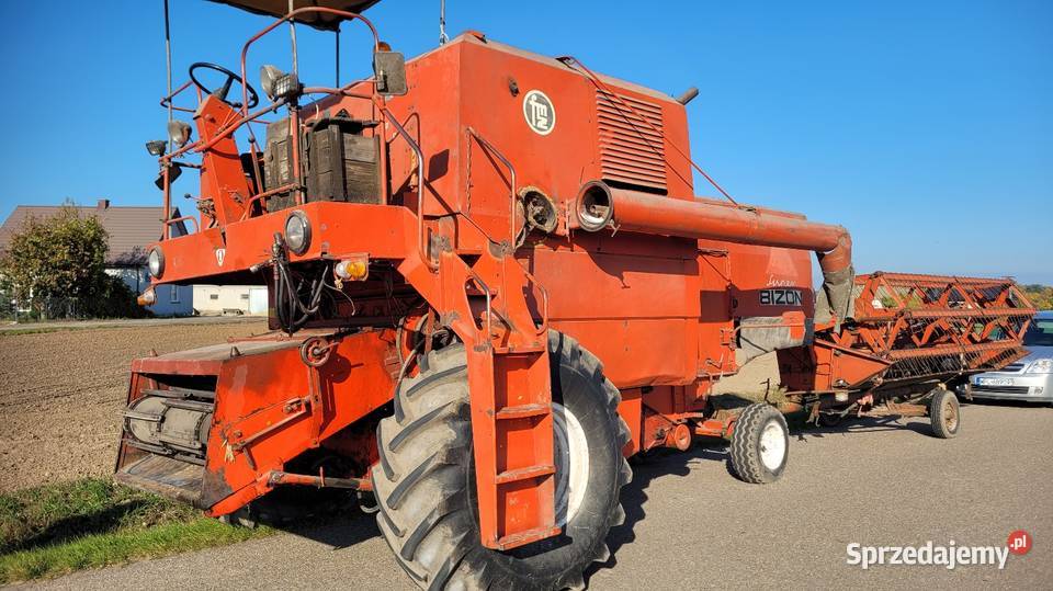 Bizon ZO56 Płock