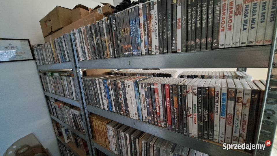 Filmy bajki DVD Nowefolia Lesko
