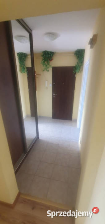 przestronne mieszkanie 3pok 4piętro spokojna Świdnik