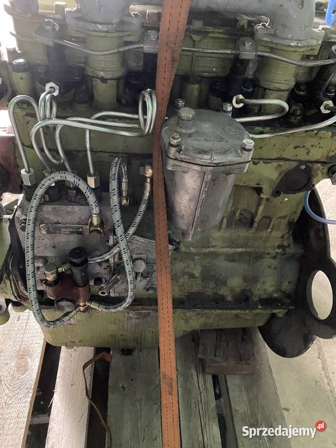 Silnik MTZ D242 80 Szklarnia