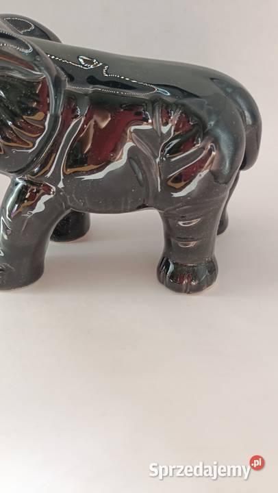 Duży czarny słoń z trąbą do góry i krocząca Zamość