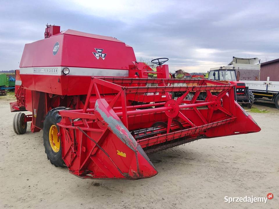 Kombajn zbożowy Massey Ferguson 487 w oryginale sprzedam
