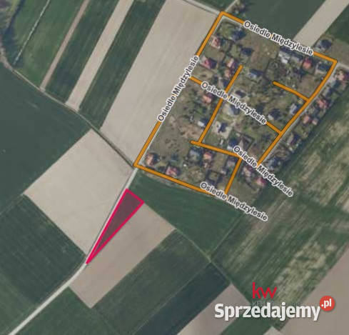 sprzedaży gruntu Czołowo 2980m2