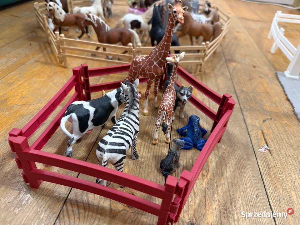 Stadnina schleich Schleich pomorskie Gdynia