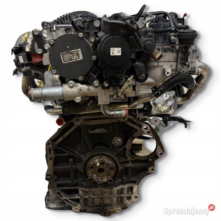 SILNIK Z22D1 Opel Antara Chevrolet Captiva 22 lubelskie Chełm