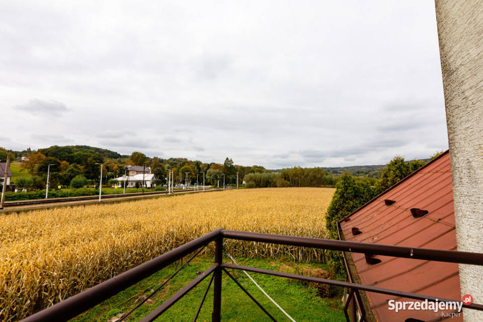 sprzedaży domu wolnostojącego 200m2 Łowczów Rok budowy 1970