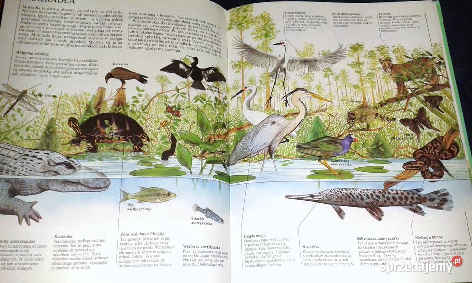 W świecie zwierząt John Feltwell lubelskie Chełm
