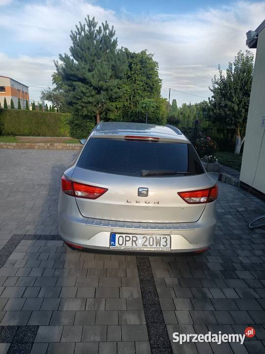 Seat leon Solec