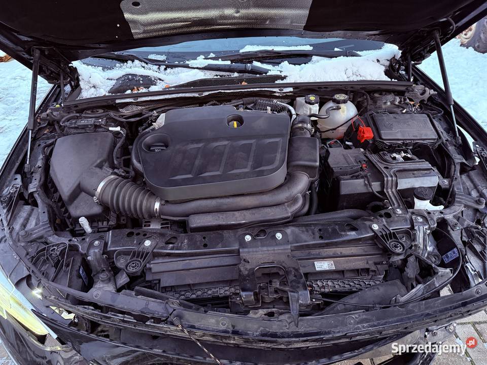 Opel Insignia hatchback 2021 20 diesel 175 Insignia Turek