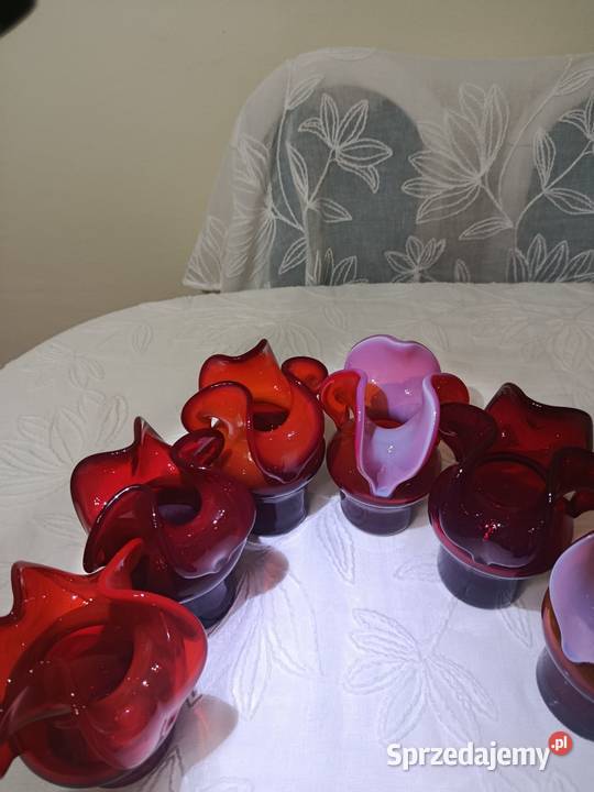 Osiołki CzZubera Warszawa