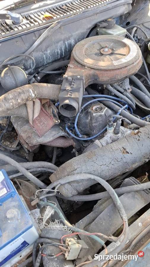 Polonez Caro PLUS Hutki