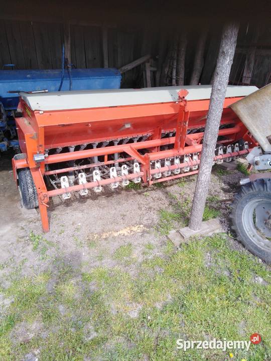 Siewnik lubelskie Łęczna