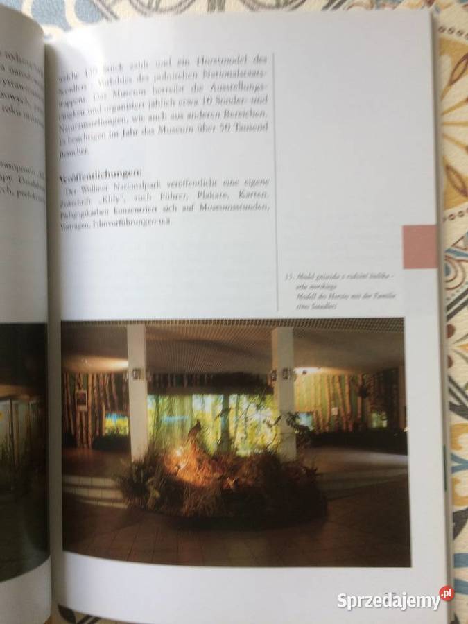 3818 Szczecin sprzedam