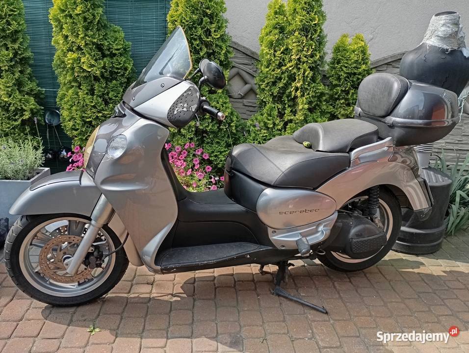 Skuter Aprilia skarabello