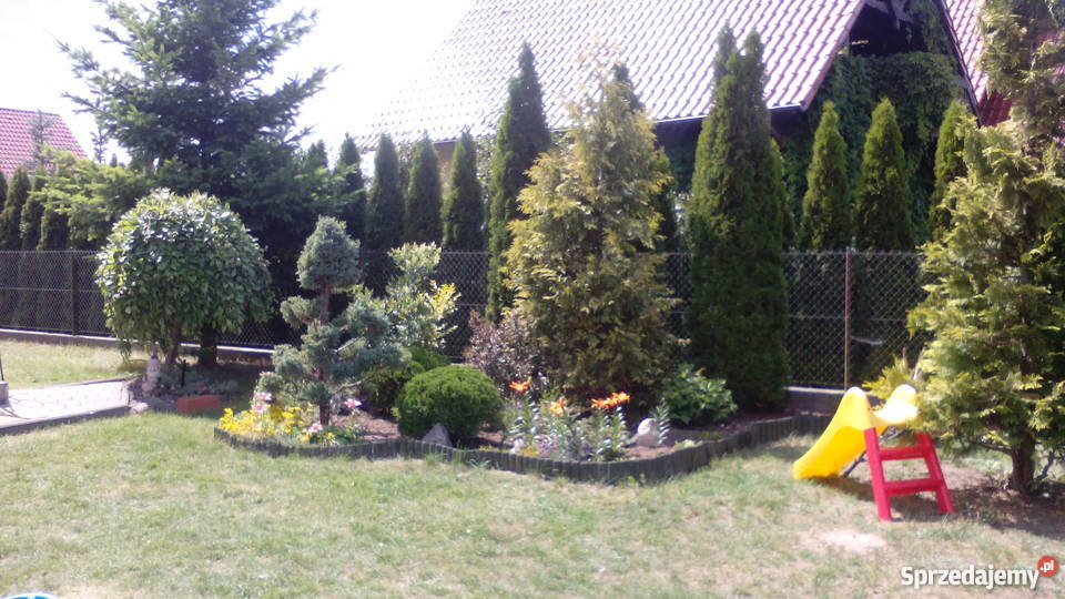 sprzedam dom wolnostojący