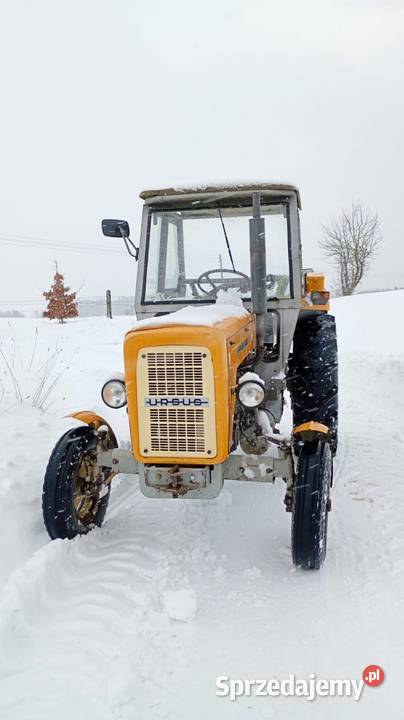 Ciągnik Rolniczy Ursus C360 warmińsko-mazurskie Morąg