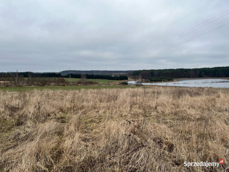 BINOWODziałka budowlana o pow1300m2 WZ Binowo