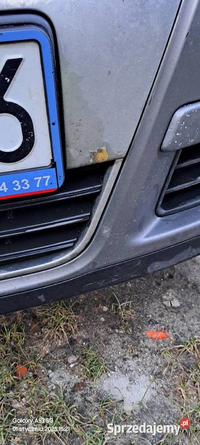 Passat B6 2006 19 tdi Rok produkcji 2006 Horodło