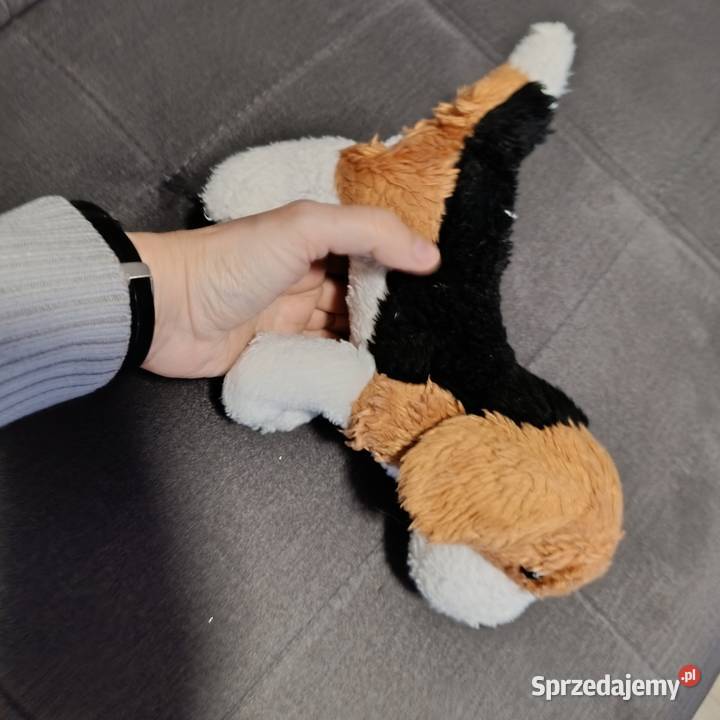 piesek maskotka pluszak kolejny Maskotki Poznań sprzedam