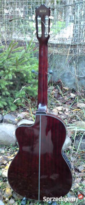 Gitara elektro klasyczna Ibanez GA5TCEAM Ilość strun 6