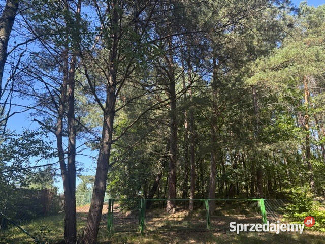 ładna działka z domkiem Kaszuby Zdunowice sprzedam