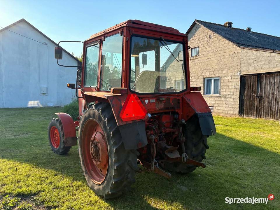 MTZ Belarus 82 96r Jędrzejów