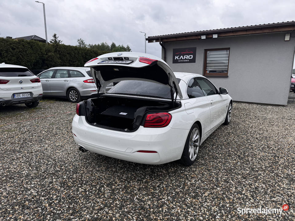 BMW 420i 2019r Polski Salon I właściciel Seria 4 Paniówki