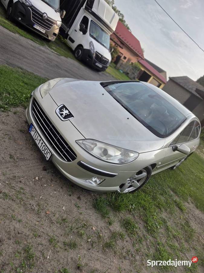 Peugeot 407 automat Turek