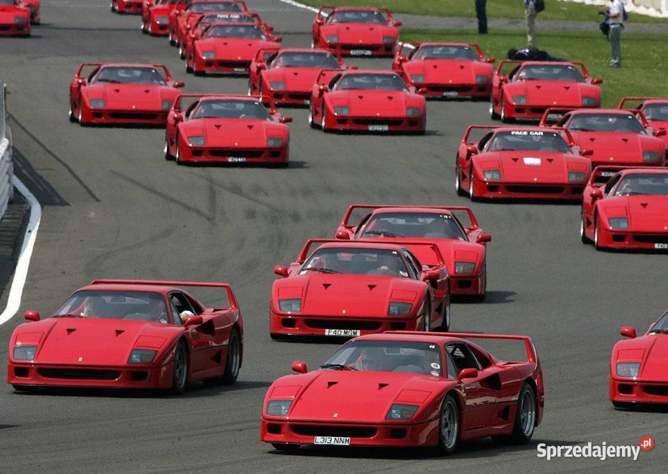 Plakaty A3 Ferrari F40 355 Testarossa 288GTO