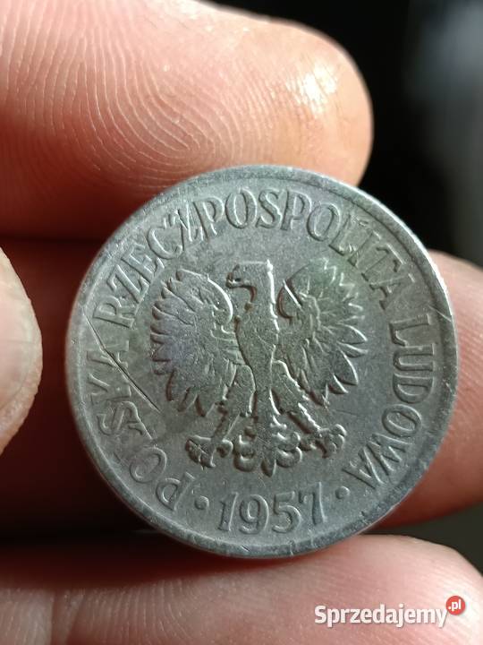 Sprzedam 50 gr 1957 r ncm Numizmatyka Chełm