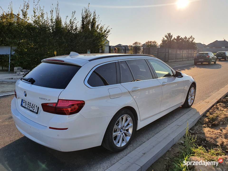 BMW 5 520d 190 Super stan polski salon Seria 5 Konin