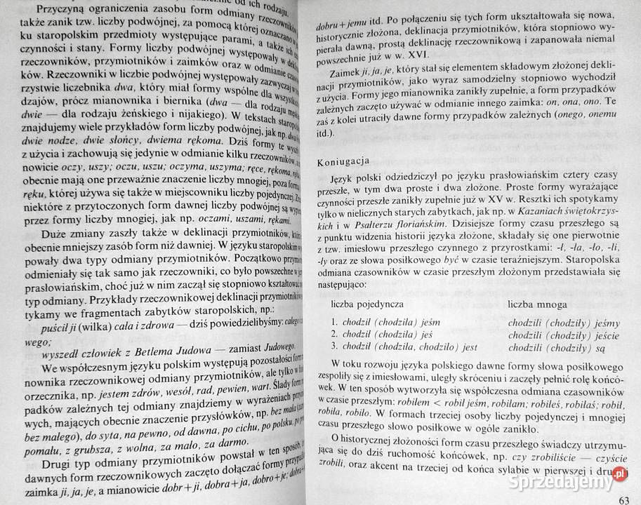 Vademecum maturzysty Język polski Stanisława Chełm