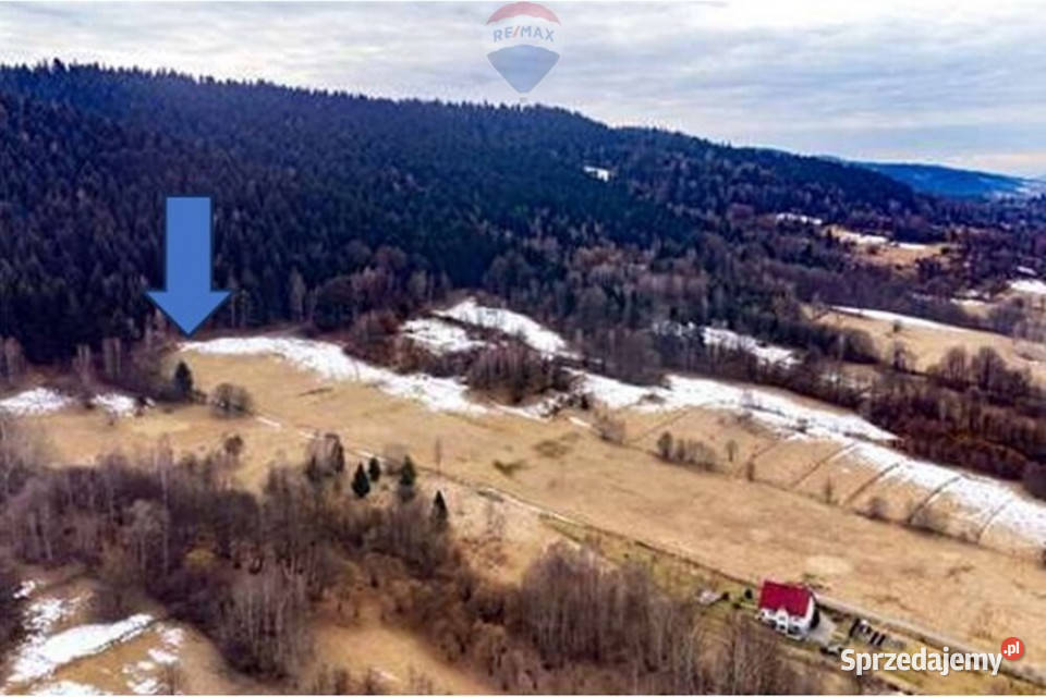 Duża 20 arów z dużym 2 HA prywatnym lasem Las