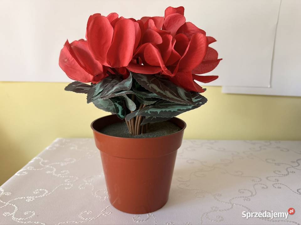 Sztuczny Kwiat Fiołek Alpejski Cyklamen Czerwony śląskie Czerwionka-Leszczyny