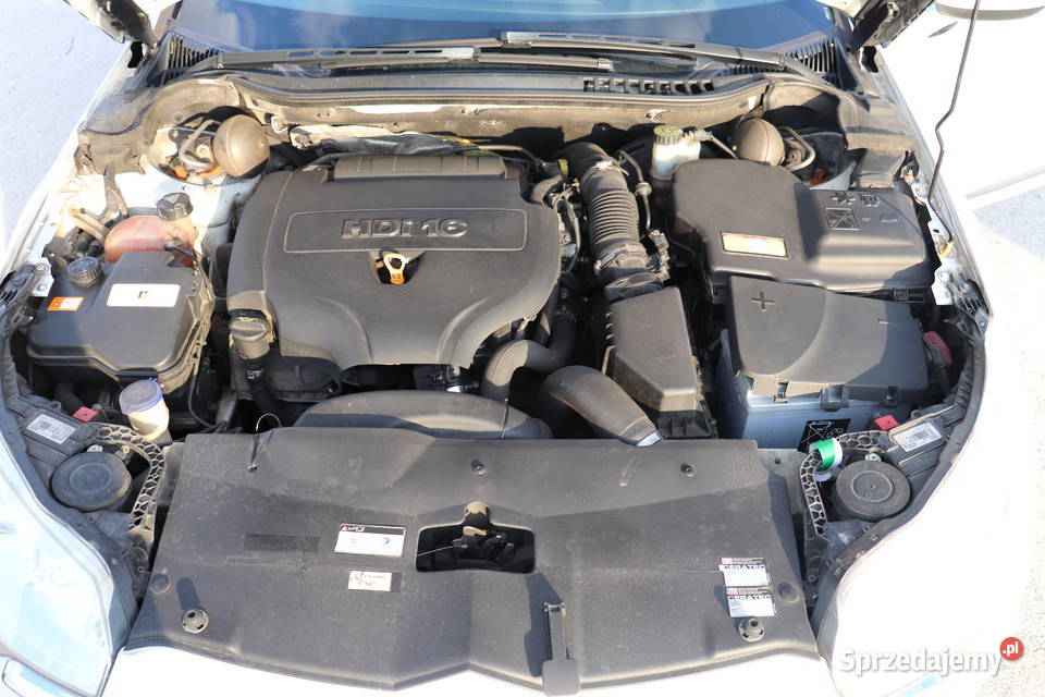Citroen C5 20 HDI 163 Automat Ksenony Nawi Hak elektryczne lusterka C5 Korzecko